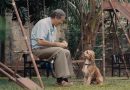 助けた犬と親友になった男性と、迷子犬を探す家族の感動の物語(フィリピンCM)