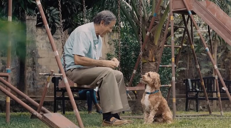 助けた犬と親友になった男性と、迷子犬を探す家族の感動の物語(フィリピンCM)