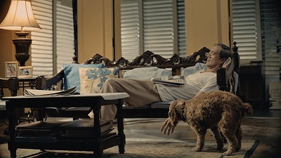 寝ている男性と手を舐める犬